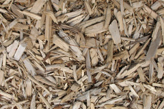 biomass boilers Rienachait